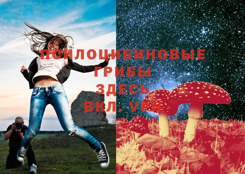 Псилоцибиновые грибы Magic Shrooms  Копейск 